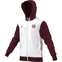 Paket FC Bayern München Trip