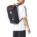 Paket FC Bayern München Trip