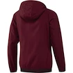 Präsentationsjacke adidas UCL FC Bayern München AO0344