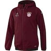 Präsentationsjacke adidas UCL FC Bayern München AO0344