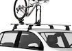 Radhalter Yakima  ForkChop