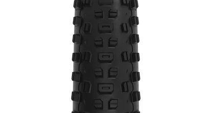 Reifenmantel WTB  Ranger 2.4x29" TCS Light/Fast Rolling SG2