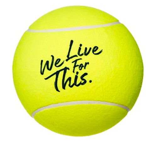 Riesen Tennisball Babolat Jumbo Ball French Open Sportartikel Sportega