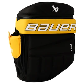 Rucksack Bauer Glove Backpack Boston Bruins