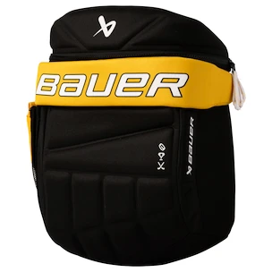 Rucksack Bauer  Glove Backpack Boston Bruins