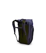 Rucksack OSPREY TRANSPORTER ROLL TOP PACK euphoria purple/purple ink