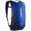 Rucksack Salomon Trailblazer TRAILBLAZER 10 Surf The Web/Black Iris