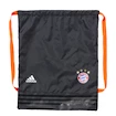 Sack adidas FC Bayern München AX6273