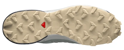 Salomon Speedcross 5 Herren Laufschuhe - grün