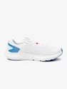 Schuhe Under Armour UA W Charged Rogue 3 IRID-WHT