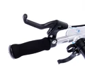 Scooter Tempish  SMF 200 blue
