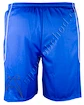 Shorts adidas Squadra II