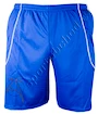 Shorts adidas Squadra II