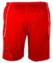 Shorts adidas Squadra II