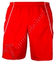 Shorts adidas Squadra II