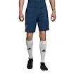 Shorts adidas Woven FC Bayern München Blue