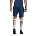 Shorts adidas Woven FC Bayern München Blue