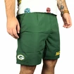 Shorts New Era Team Logo Wordmark NFL Green Bay Packers