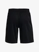 Shorts Under Armour UA BASELINE 10'' SHORT-BLK