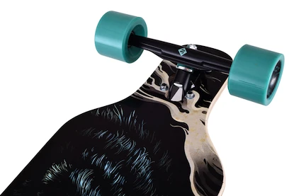 Skateboard Street Surfing