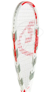 Speedminton