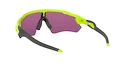 Sport Brille Oakley Radar EV Path Retina Burn w/ PRIZM Road