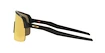 Sport Brille Oakley Sutro Lite Matte Carbon/Prizm 24k