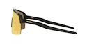 Sport Brille Oakley Sutro Lite Matte Carbon/Prizm 24k