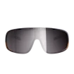 Sport Brille POC  Aspire