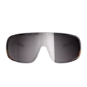 Sport Brille POC  Aspire