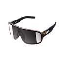 Sport Brille POC  Aspire