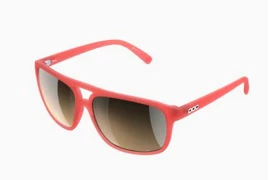 Sport Brille POC Will