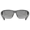 Sport Brille Uvex  Equate Black Matt / Smoke (S5330822216)