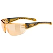 Sport Brille Uvex  Equate Smoke-Orange/Orange (S5330822112)
