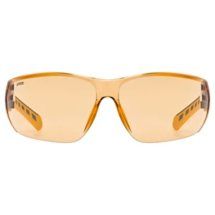 Sport Brille Uvex  Equate Smoke-Orange/Orange (S5330822112)