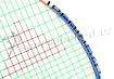 Squashschläger Tecnifibre Suprem 130 NG Kouki ´11