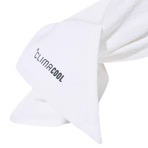 Stirnband adidas  Tennis Tieband White/Green