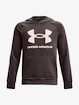 Sweatshirt Under Armour UA RIVAL FLEECE HOODIE-BRN