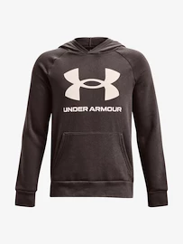 Sweatshirt Under Armour UA RIVAL FLEECE HOODIE-BRN