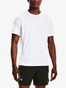 T-Shirt Under Armour UA STREAKER TEE-WHT