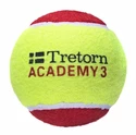 Tennisbälle Tretorn  Academy Red Felt (36 Pack)