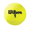 Tennisbälle Wilson Australian Open Can (3 St.)