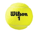Tennisbälle Wilson Australian Open Can (4 St.)