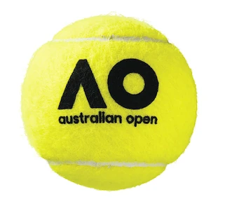 Tennisbälle Wilson Australian Open Can (4 St.)
