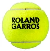 Tennisbälle Wilson Roland Garros Official (3 St.)