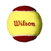 Tennisbälle Wilson  Starter Red (3 Pack)