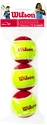 Tennisbälle Wilson  Starter Red (3 Pack)