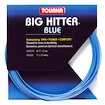 Tennissaite Tourna Big Hitter (12 m)