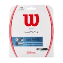 Tennissaite Wilson  Duo Power Alu Power 125 + NXT 130