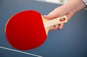 Tischtennis Set Joola  Family